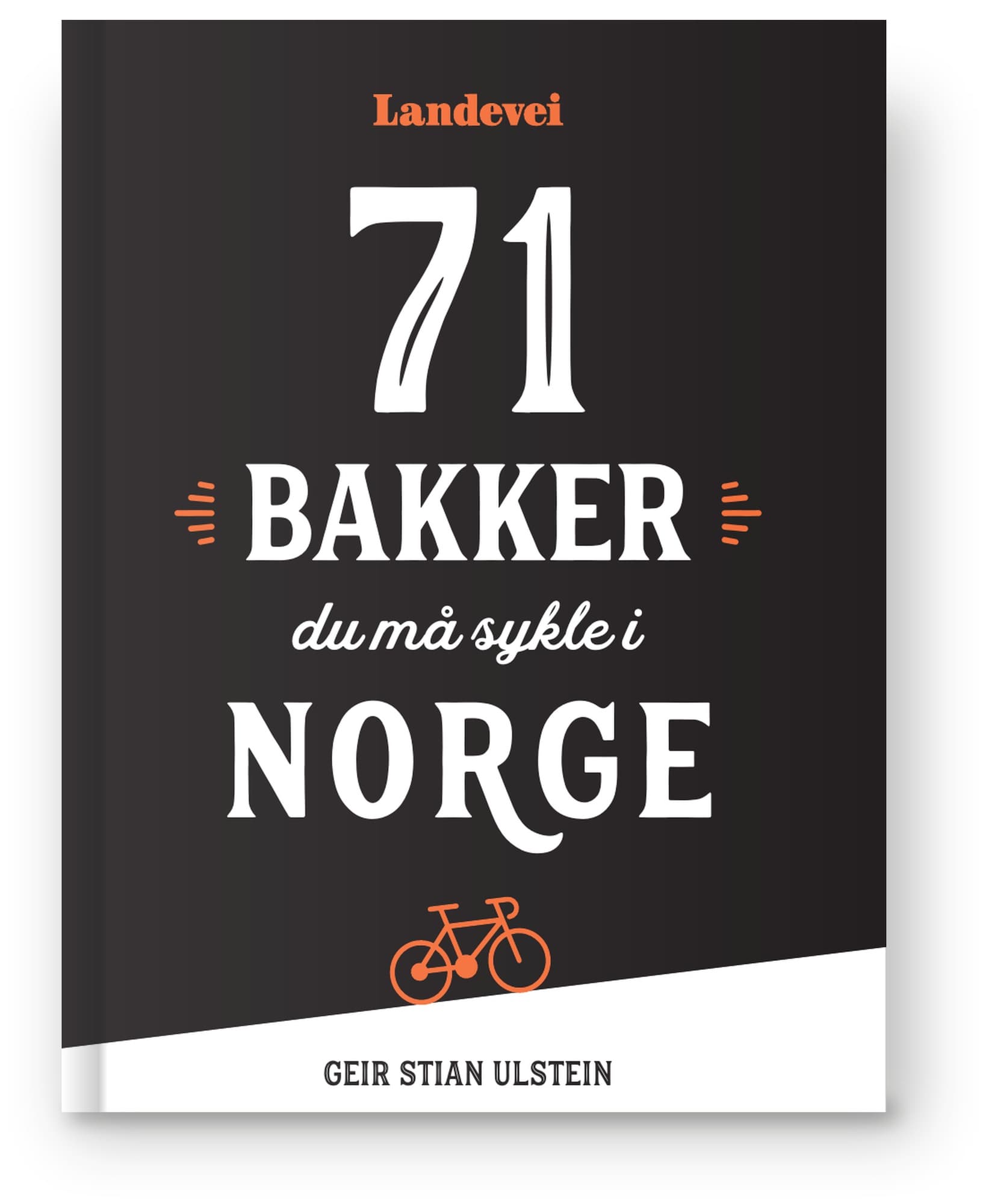 71 bakker du må sykle i Norge – bilde 16