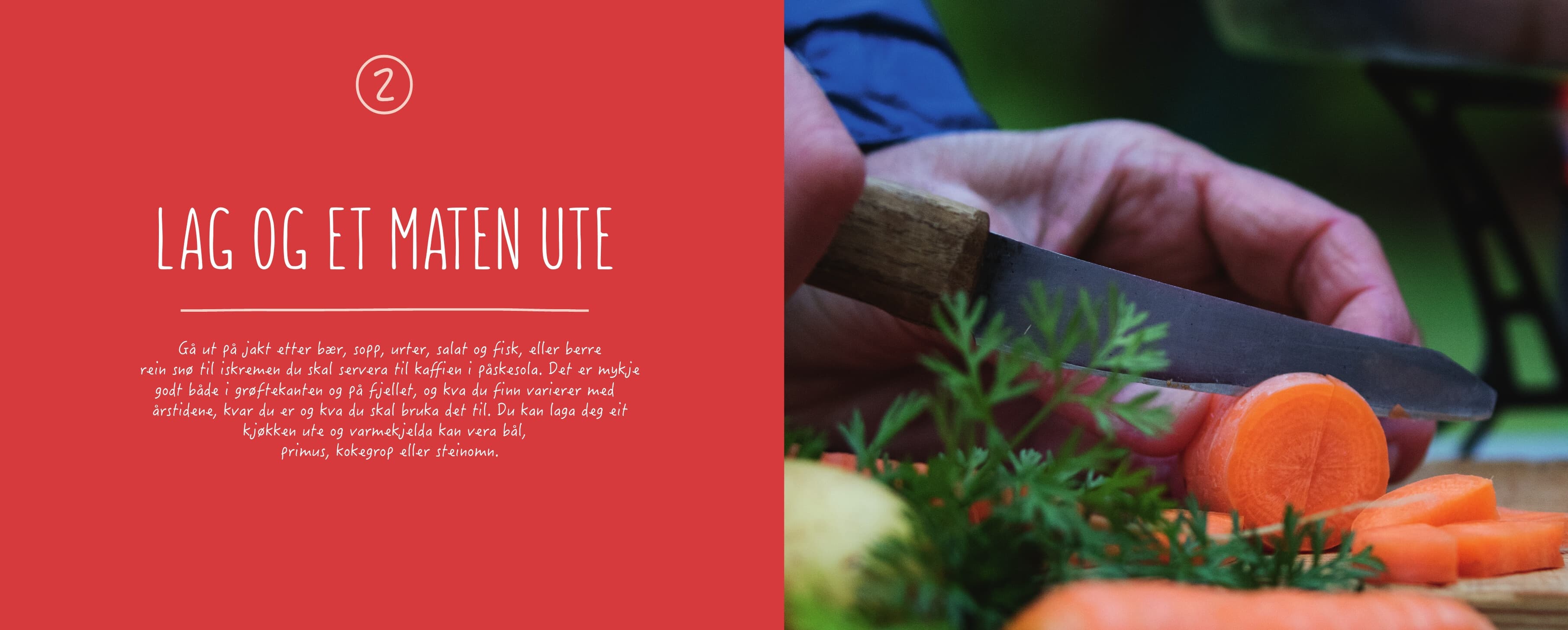 Turkokebok - Et Ute – bilde 2