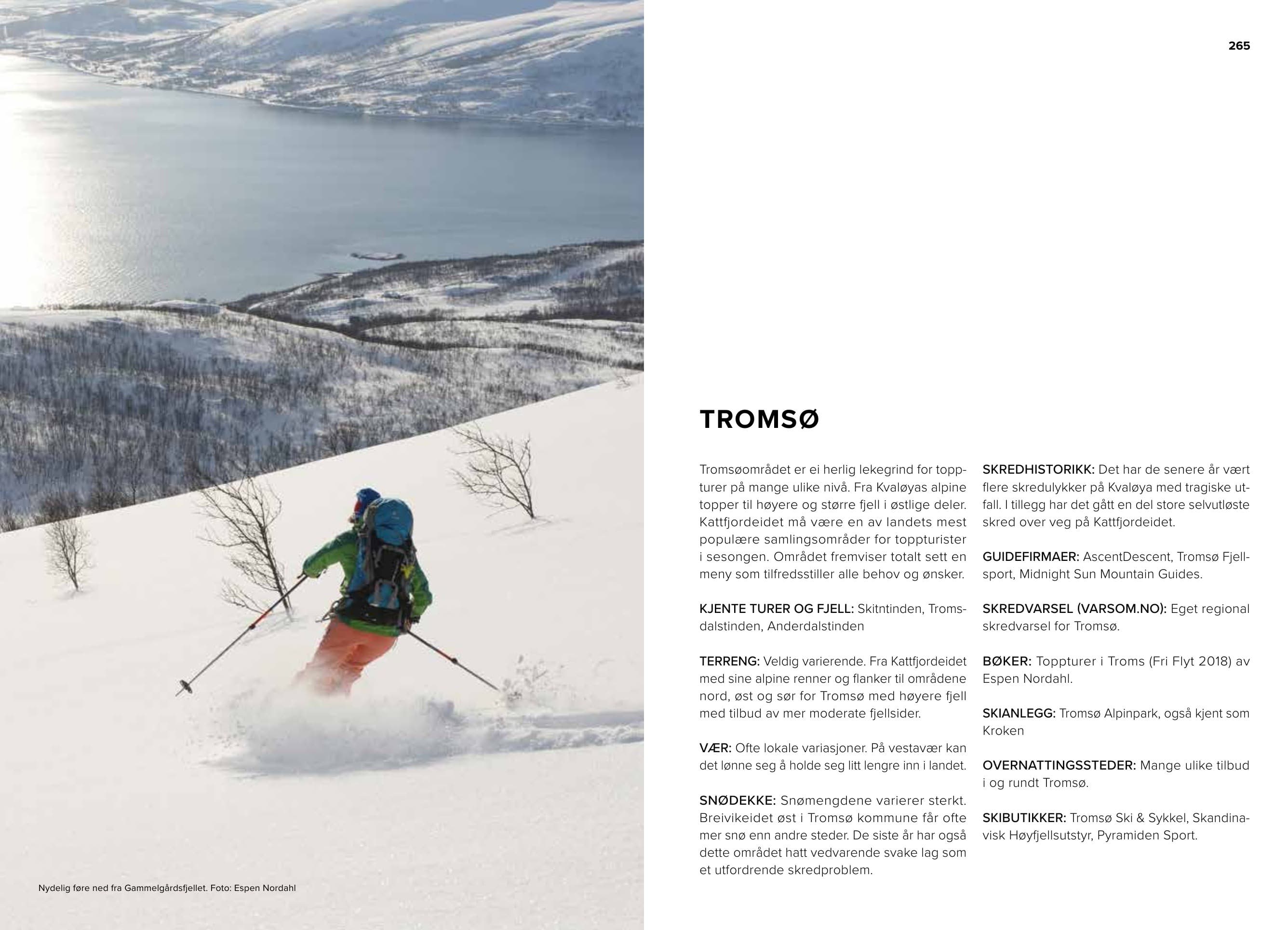 Trygge toppturer – bilde 13
