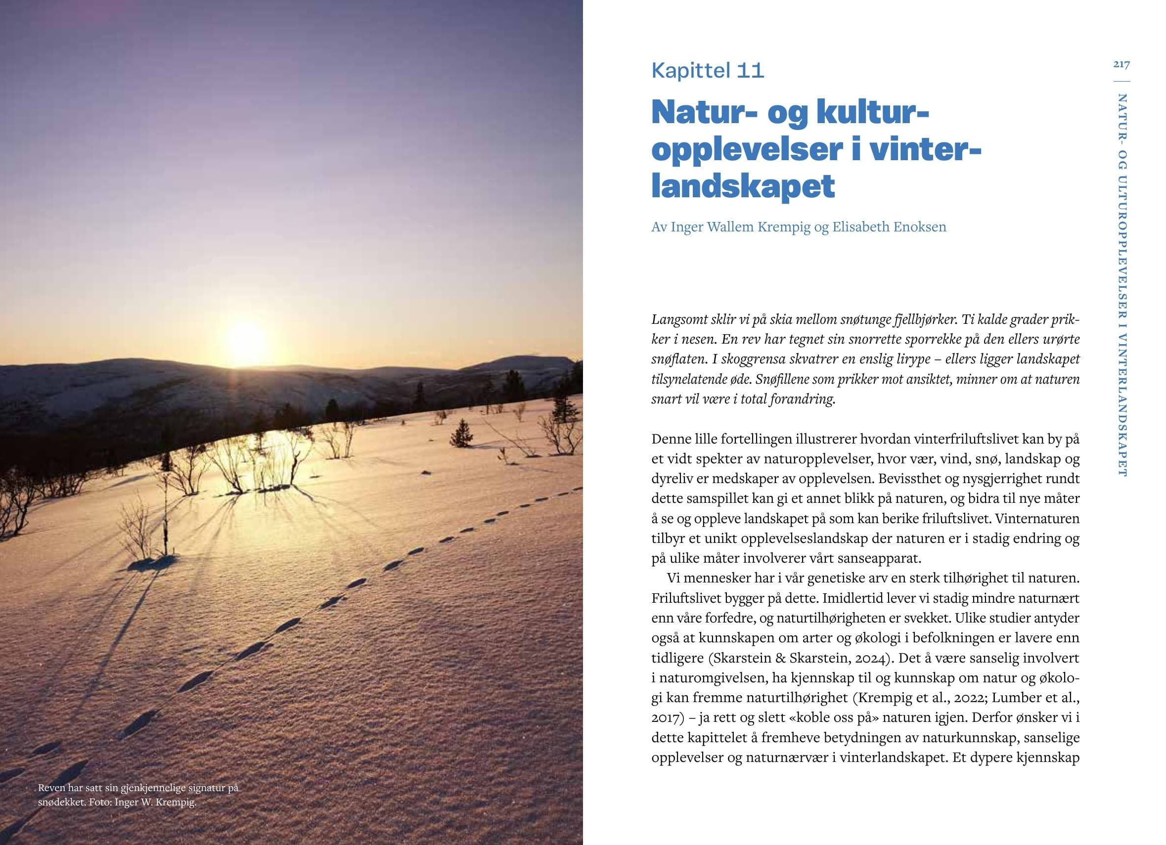 Vinterfriluftsliv – bilde 11