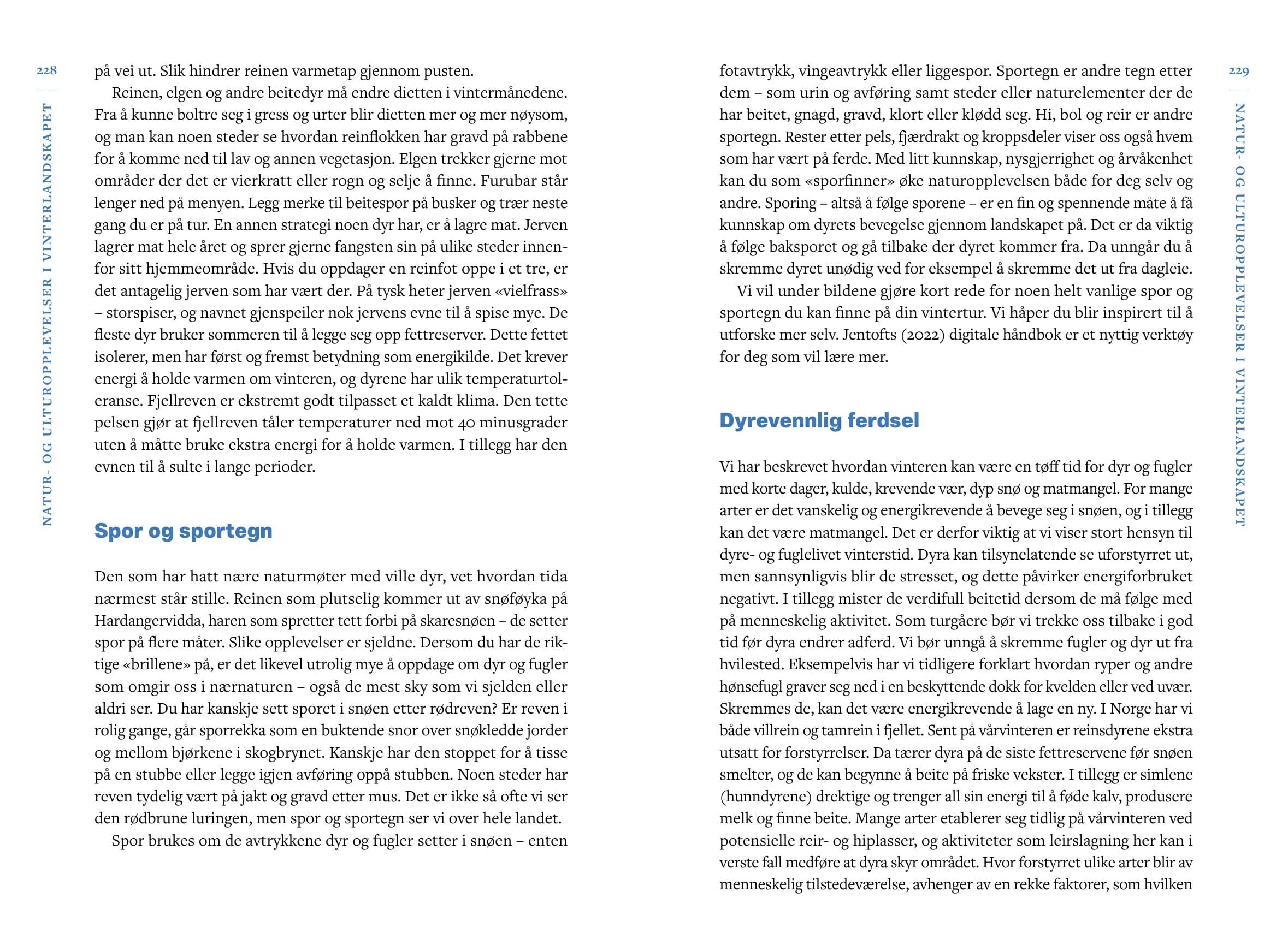 Vinterfriluftsliv – bilde 16