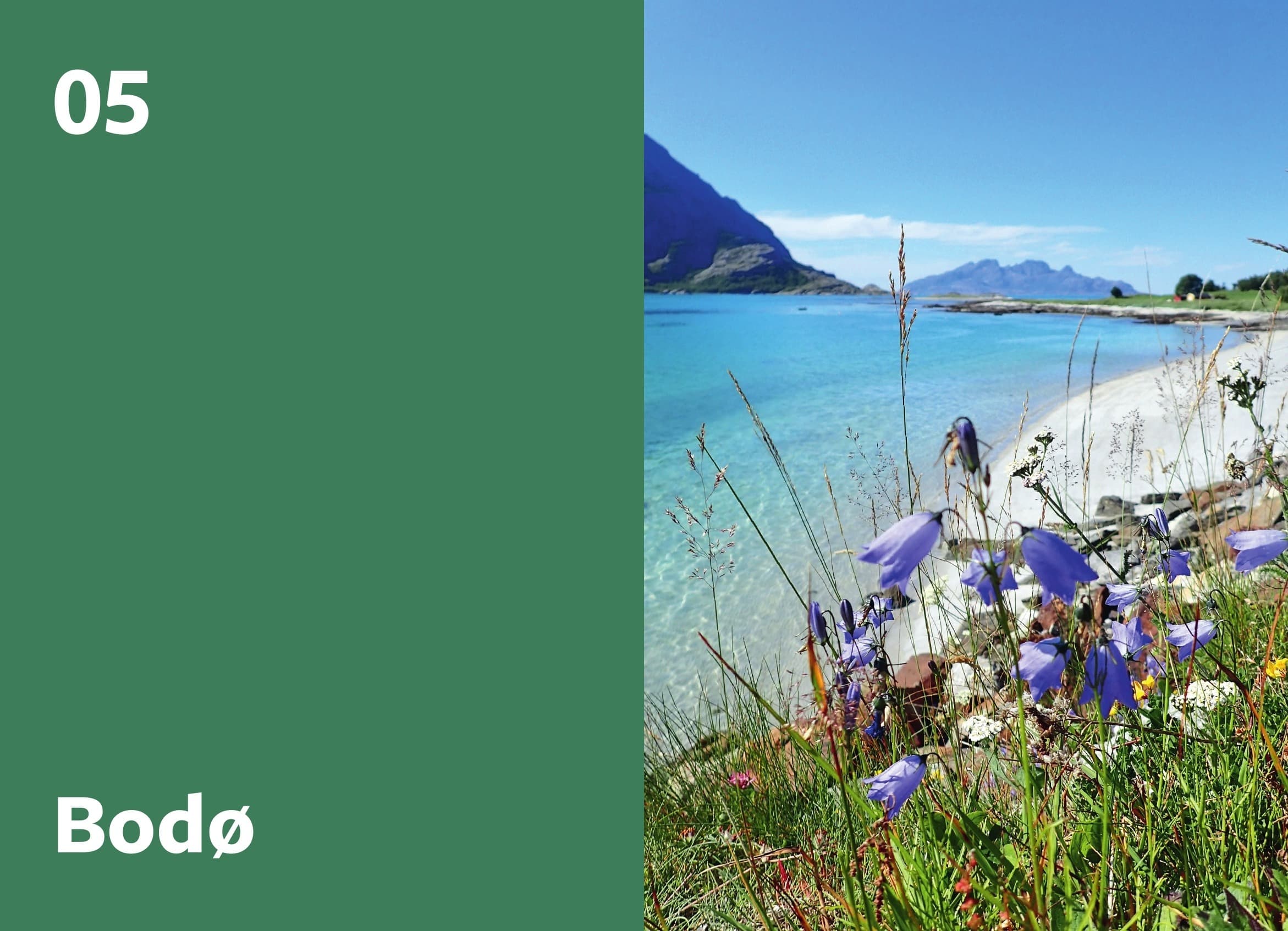 Norge, asså! – bilde 11