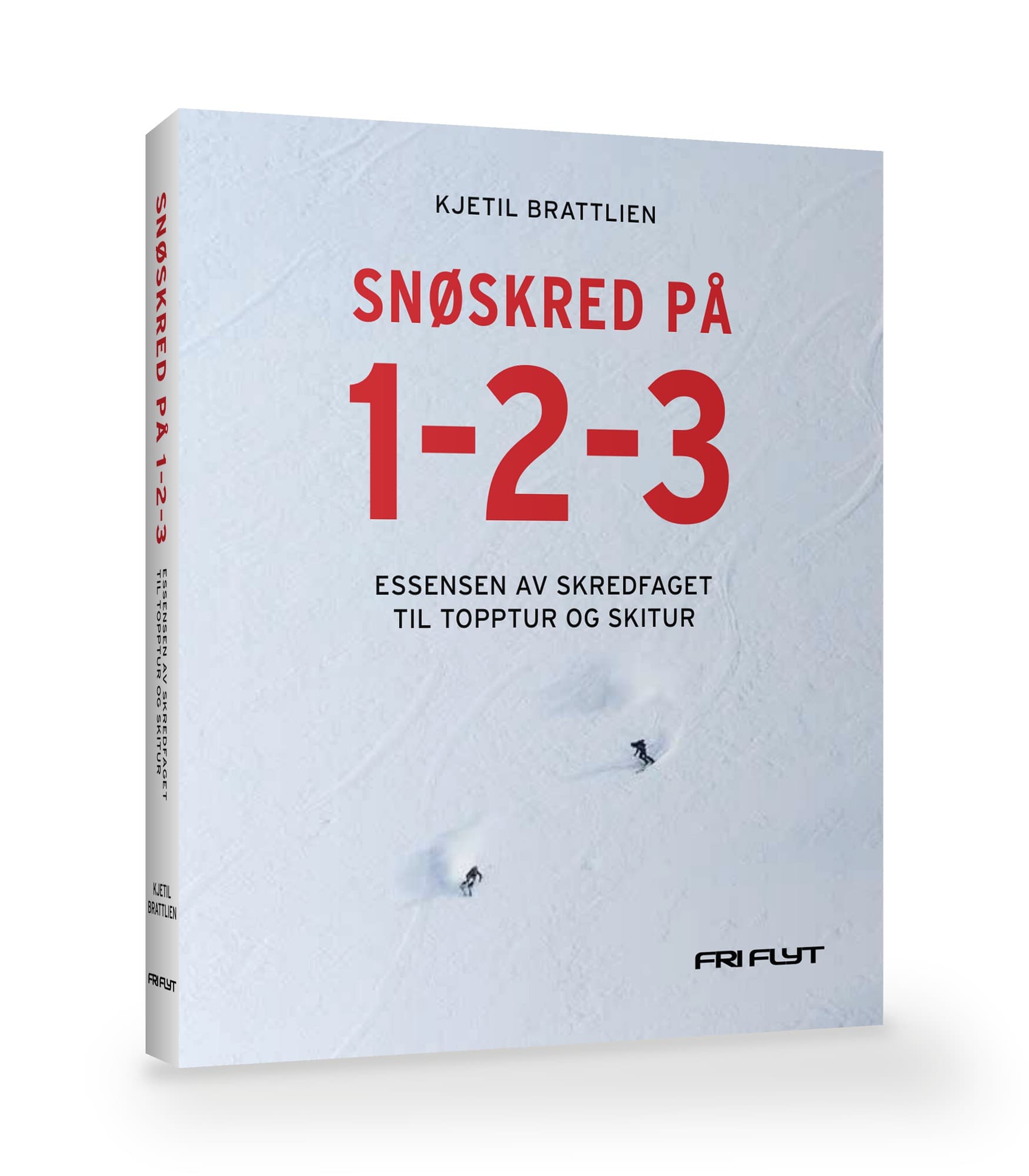 Snøskred på 1-2-3 – bilde 1